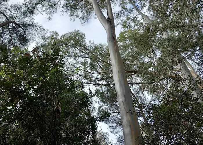 Costa Degli Dei * Pizzo (Calabria)