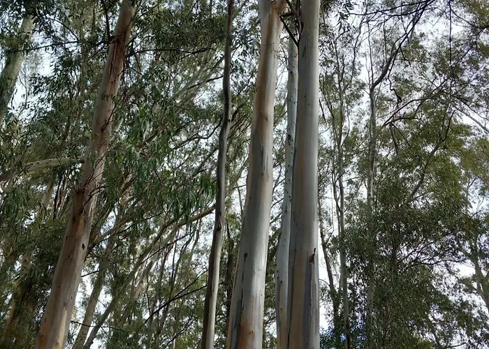 Apartamento Costa Degli Dei *